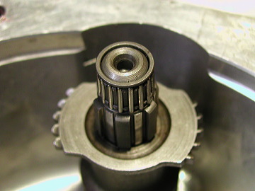 p4210481.jpg