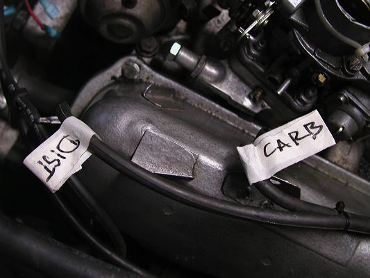 dcnf_04.jpg