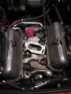 dcnf_08.jpg