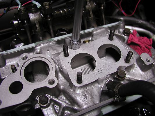 dcnf_20.jpg