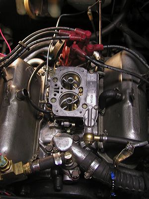 dcnf_36.jpg
