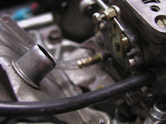 dcnf_41.jpg